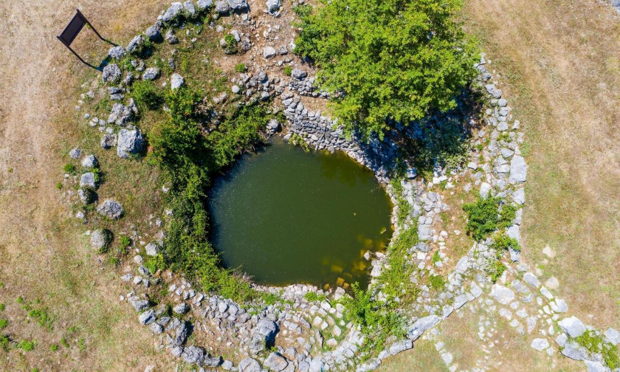 Villa Majkovica Orašac Exteriör bild